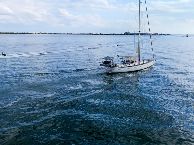 Slide: The Image of Oyster Lightwave 48 1991 - 5961417