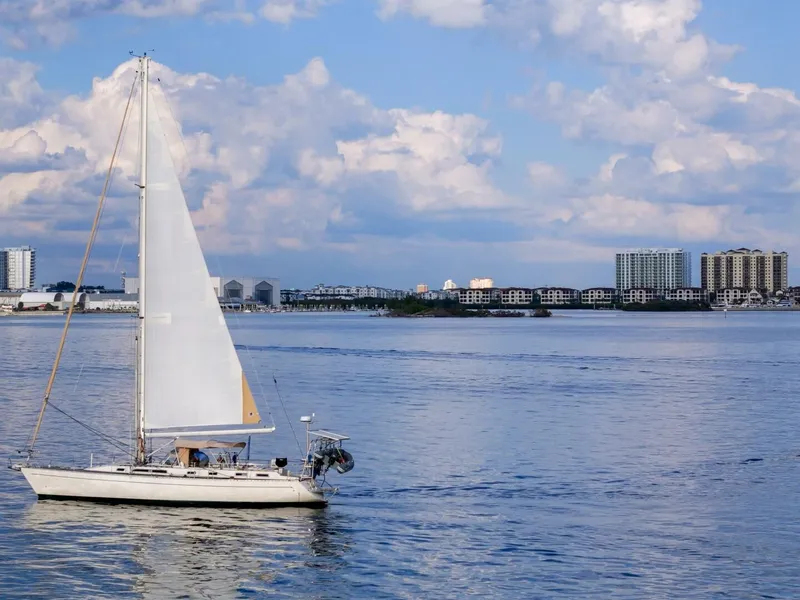 Slide: The Image of Oyster Lightwave 48 1991 - 5961381