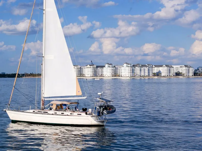 Slide: The Image of Oyster Lightwave 48 1991 - 5961380