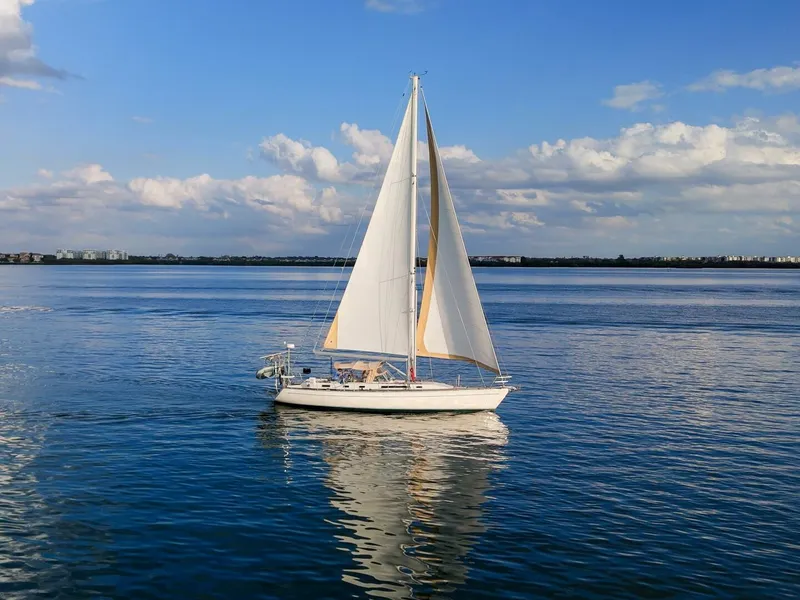 Slide: The Image of Oyster Lightwave 48 1991 - 5961371