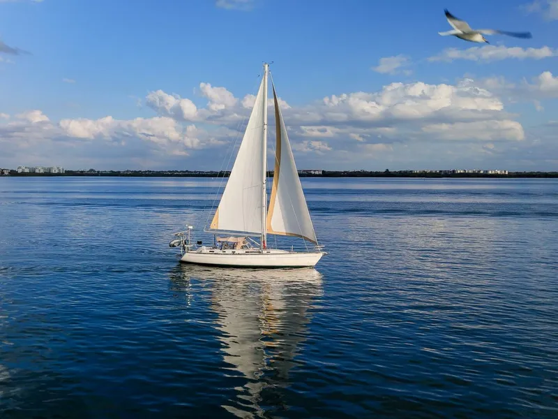 Slide: The Image of Oyster Lightwave 48 1991 - 5961372