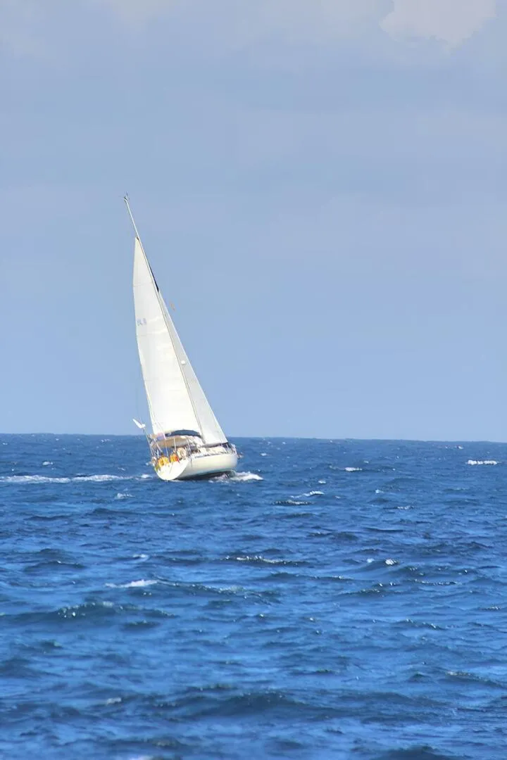 Slide: The Image of Sigma 41 1984 - 5799654