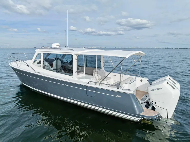 Slide: The Image of 2025 MJM 35 - 5865578