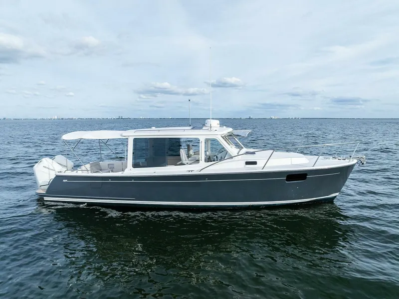 Slide: The Image of 2025 MJM 35 - 5865584