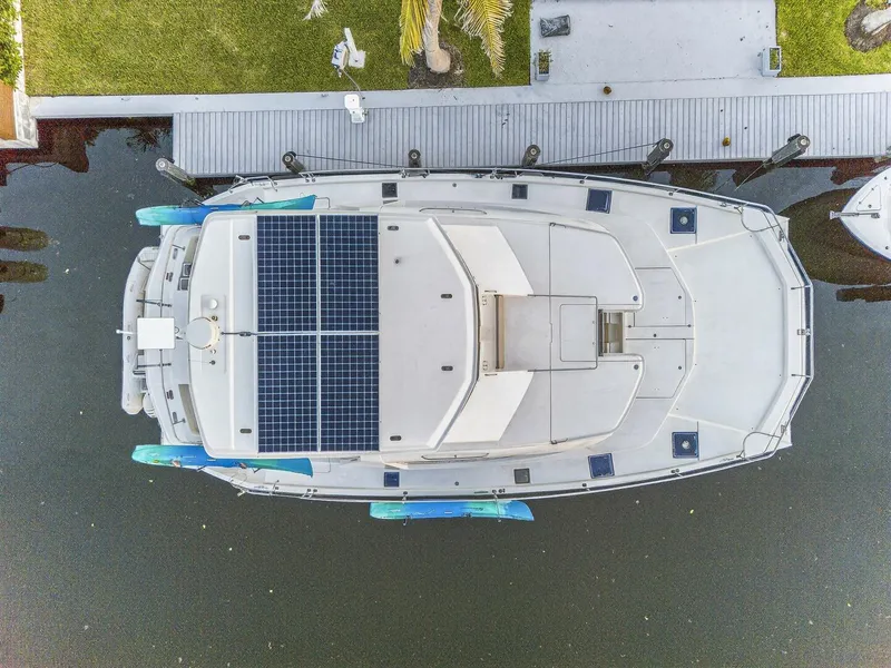 Slide: The Image of Leopard 51 2018 - 5758743