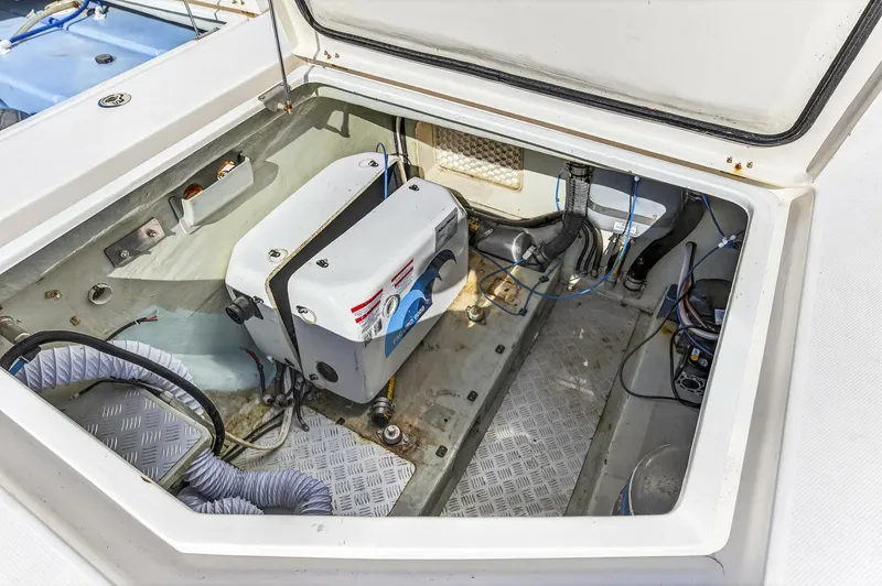 Slide: The Image of Leopard 51 2018 - 5758771