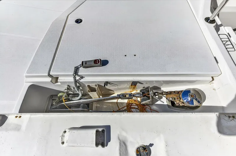 Slide: The Image of Leopard 51 2018 - 5758772