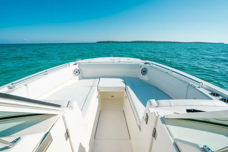 Slide: The Image of Cobia 33 2024 - 5761529