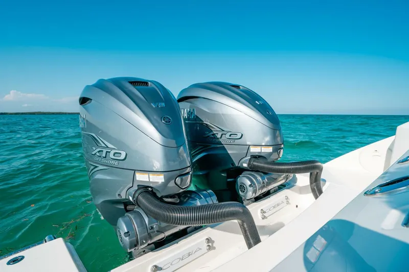 Slide: The Image of Cobia 33 2024 - 5761539