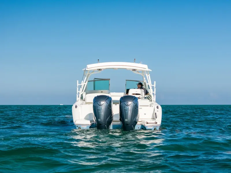 Slide: The Image of Cobia 33 2024 - 5761526