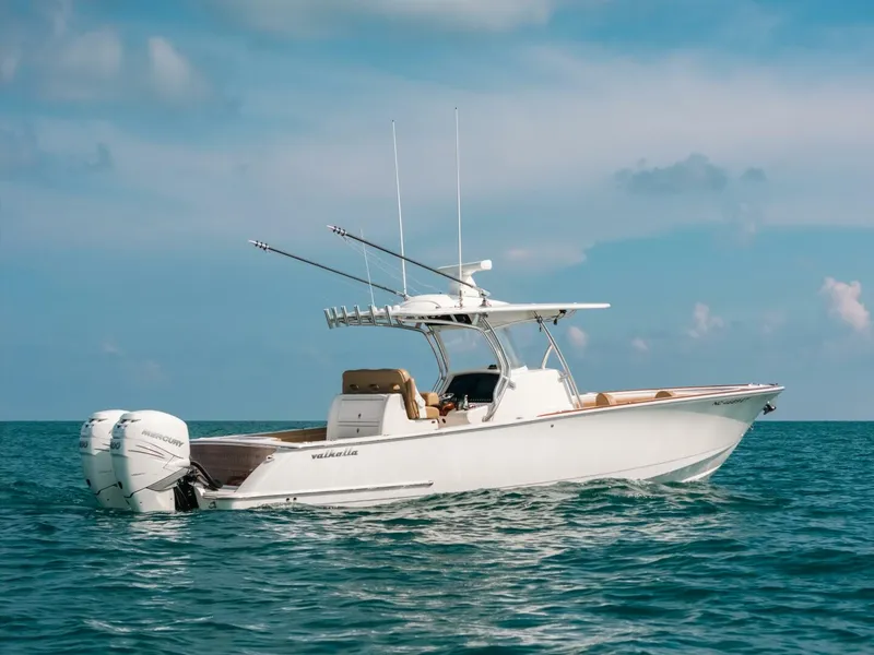 Slide: The Image of Valiant 33 2020 - 5761564