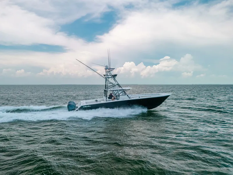 Slide: The Image of Sea Hunter 45 2013 - 5761619