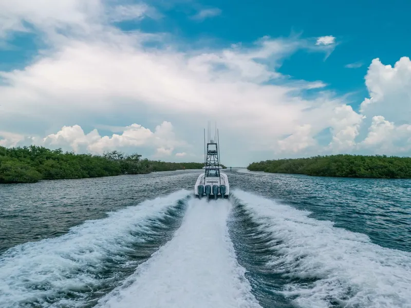 Slide: The Image of Sea Hunter 45 2013 - 5761620