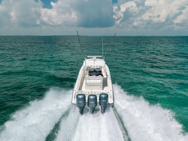 Slide: The Image of Hydra-Sports 33 2008 - 5761674