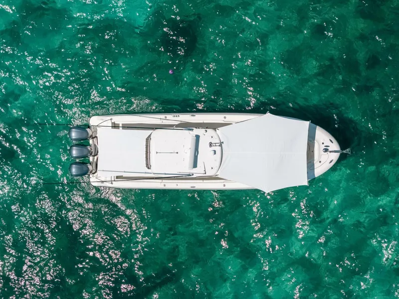 Slide: The Image of Hydra-Sports 33 2008 - 5761675