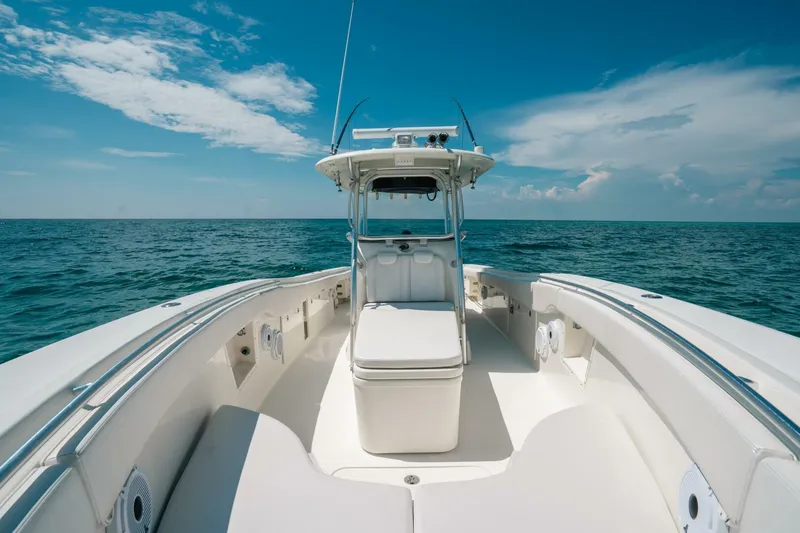 Slide: The Image of Hydra-Sports 33 2008 - 5761677