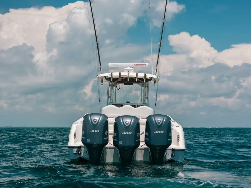 Slide: The Image of Hydra-Sports 33 2008 - 5761665