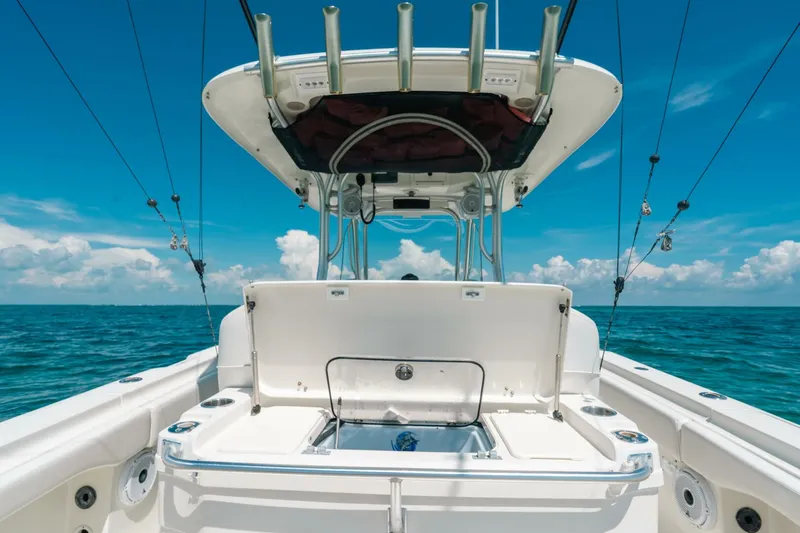 Slide: The Image of Hydra-Sports 33 2008 - 5761683