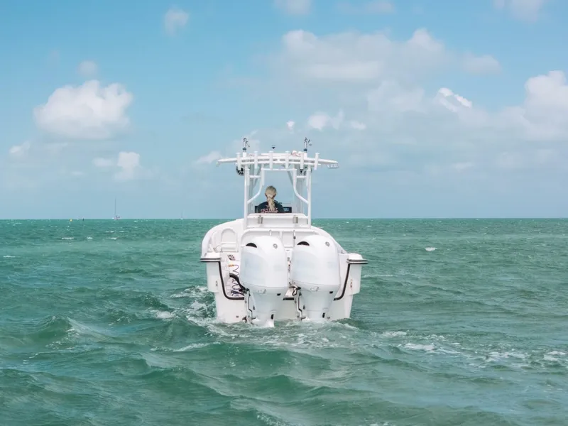 Slide: The Image of Panga 32 2022 - 5761724