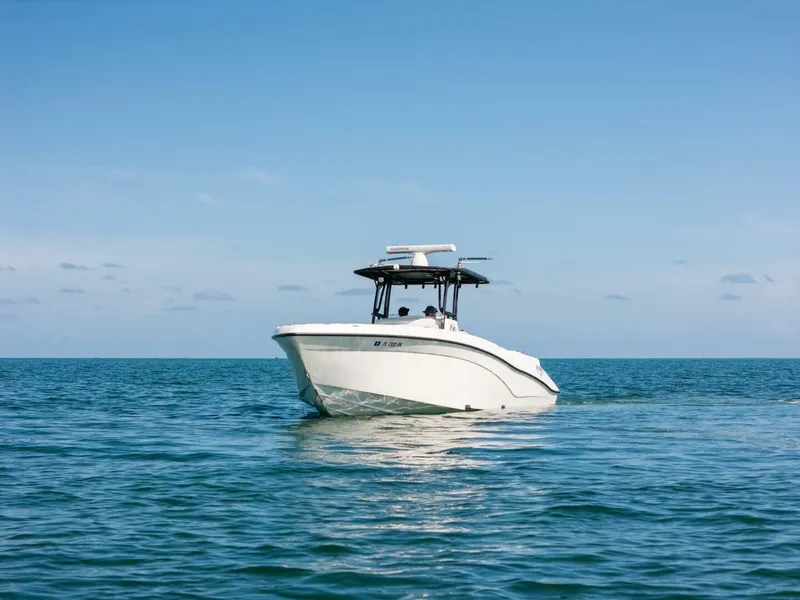 Slide: The Image of Deep Impact 33 2013 - 5761759