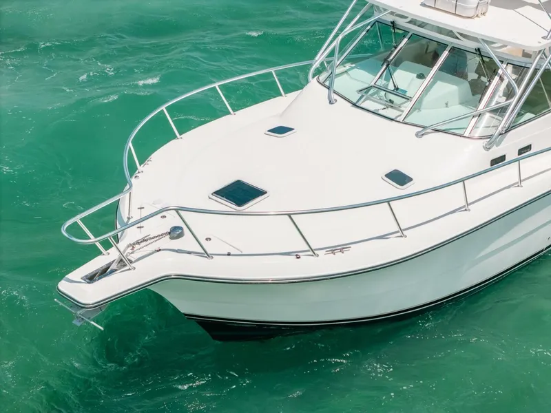 Slide: The Image of Rampage 38 2007 - 5761800