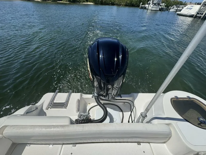 Slide: The Image of Sea Fox 22 2011 - 5761843