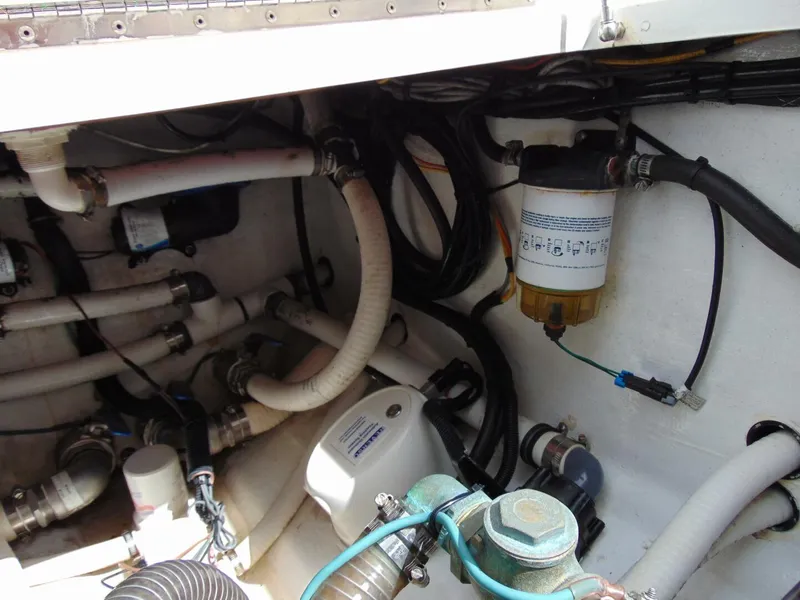 Slide: The Image of Invincible 36  Open 2020 - 5763803