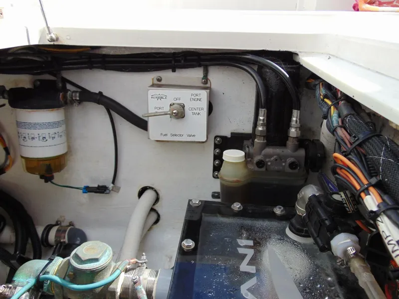 Slide: The Image of Invincible 36  Open 2020 - 5763804