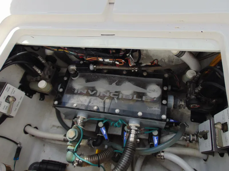 Slide: The Image of Invincible 36  Open 2020 - 5763806