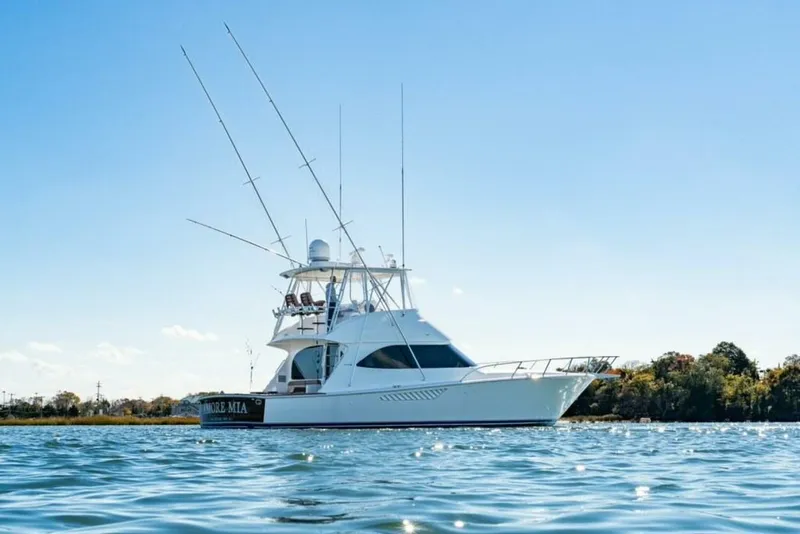 Slide: The Image of Viking 46C 2015 - 5766836