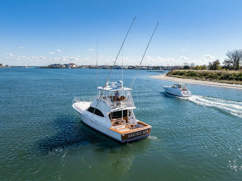 Slide: The Image of Viking 46C 2015 - 5774459