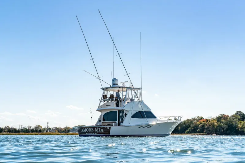 Slide: The Image of Viking 46C 2015 - 5774165