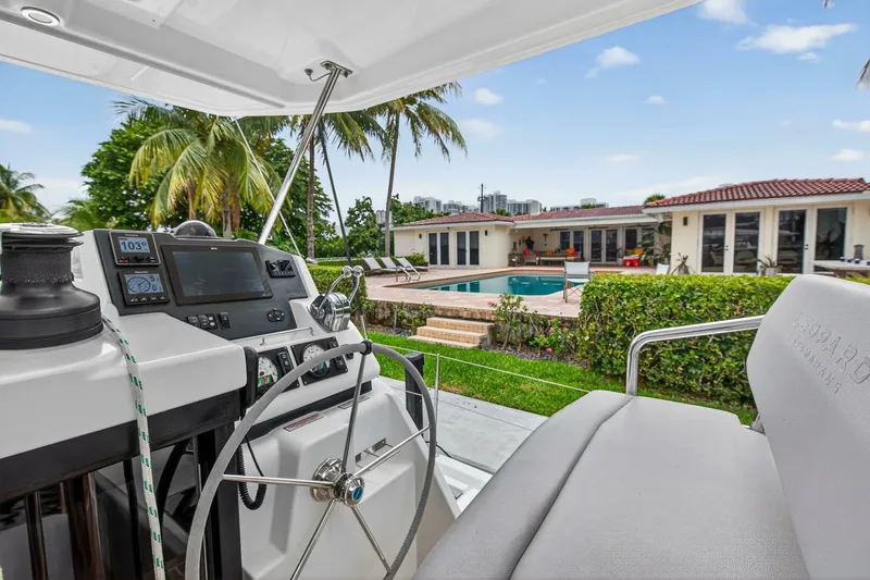 Slide: The Image of Leopard 45 2021 - 5771328