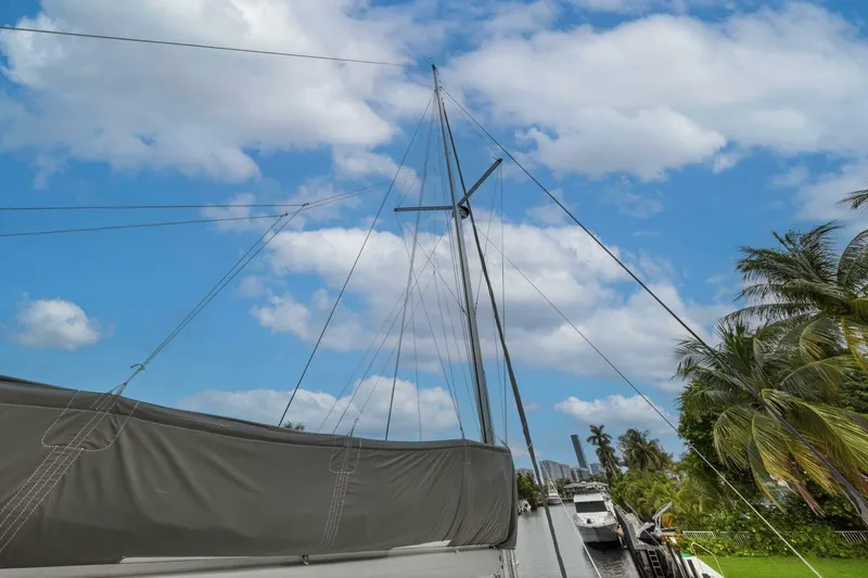 Slide: The Image of Leopard 45 2021 - 5771233