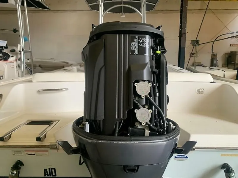 Slide: The Image of 0005445519 - 5771441