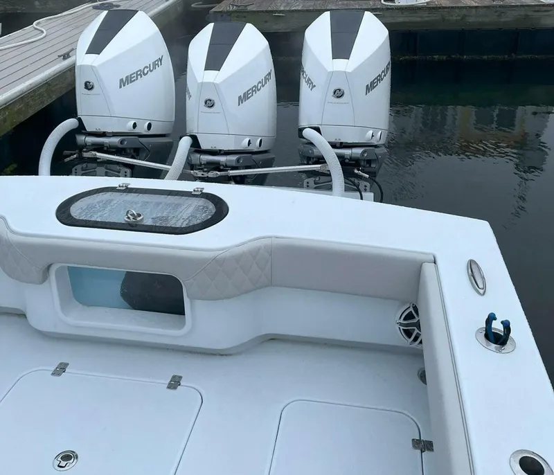 Slide: The Image of Conch 33 2022 - 5773600