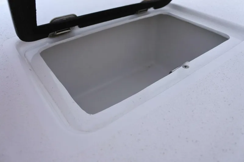 Slide: The Image of Conch 33 2022 - 5773605