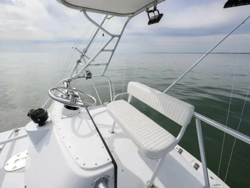 Slide: The Image of Bertram 36 Moppie 1998 - 5774584