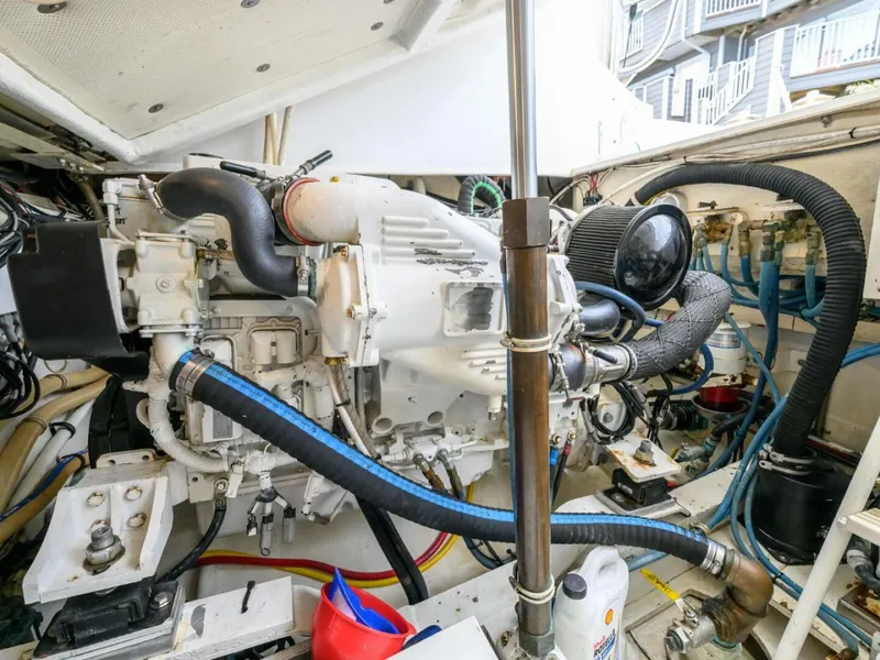 Slide: The Image of Bertram 36 Moppie 1998 - 5774596