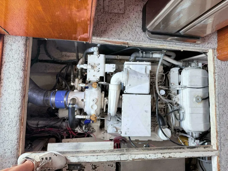 Slide: The Image of 1986 Ocean 38 Super Sport - AQUA MA'AM - 5818762