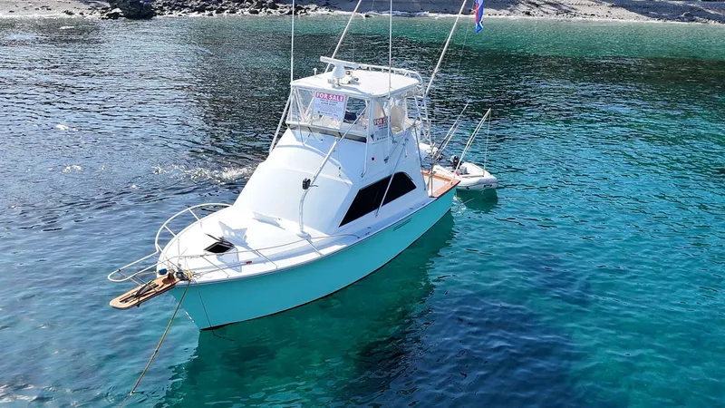 Slide: The Image of 1986 Ocean 38 Super Sport - AQUA MA'AM - 5818771