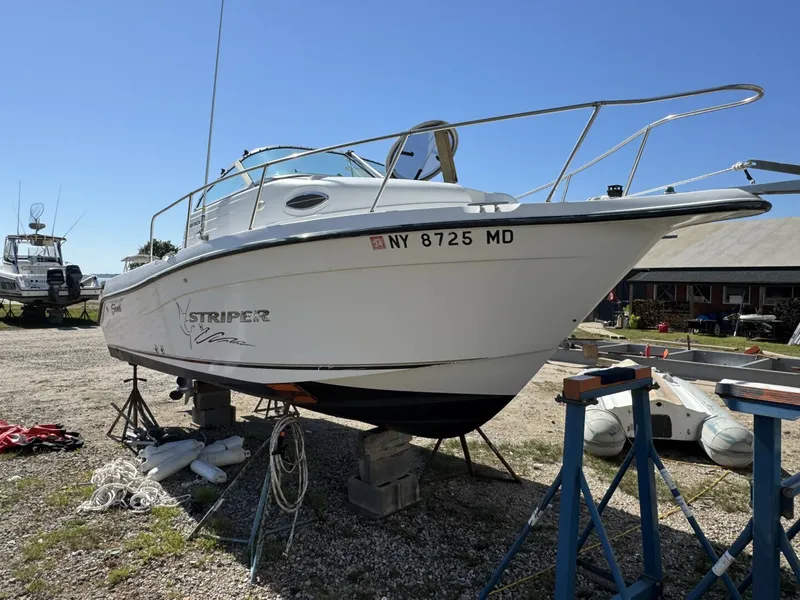 The Image of Seaswirl Striper 2004 - 5778153