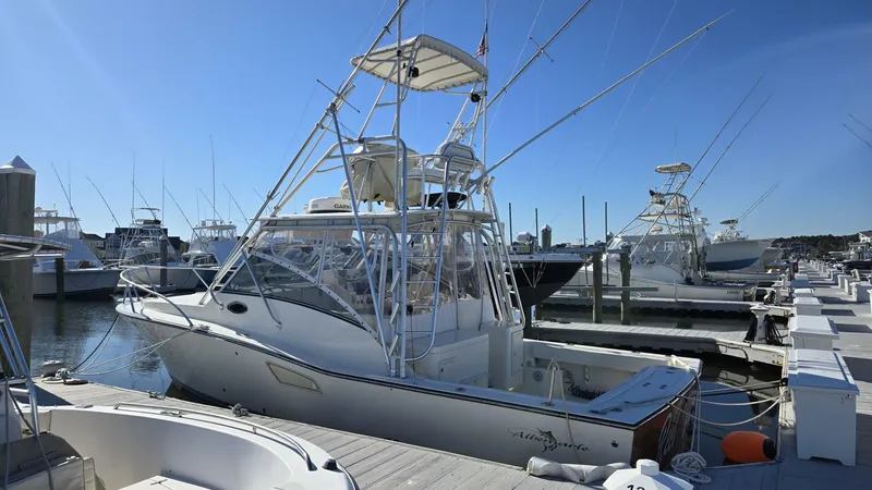 The Image of Reel Wild Port Side - 5778811