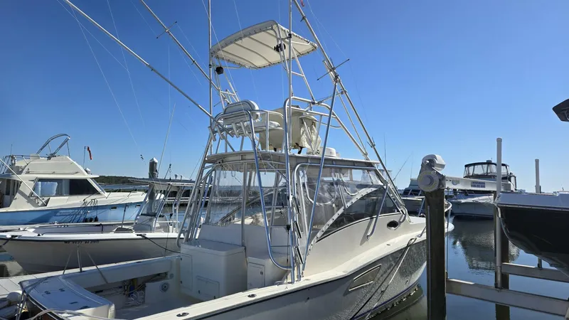 Slide: The Image of Reel Wild Stbd Side - 5778812