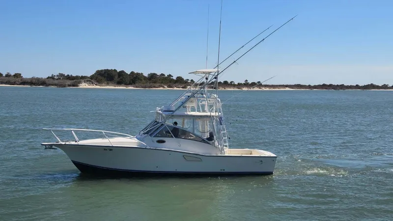 Slide: The Image of Reel Wild Port Side - 5778811