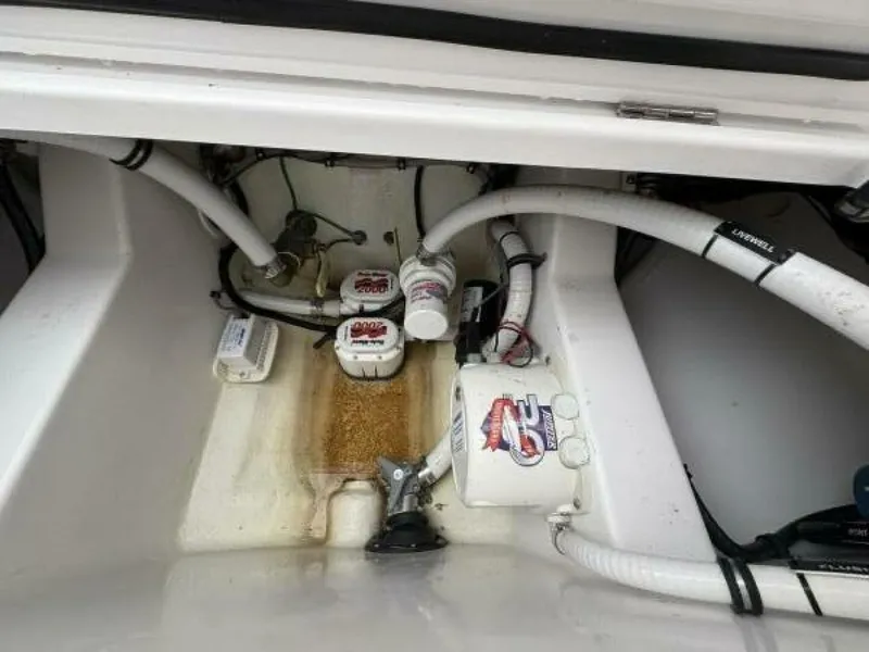 Slide: The Image of Jupiter 30 2023 - 5785064