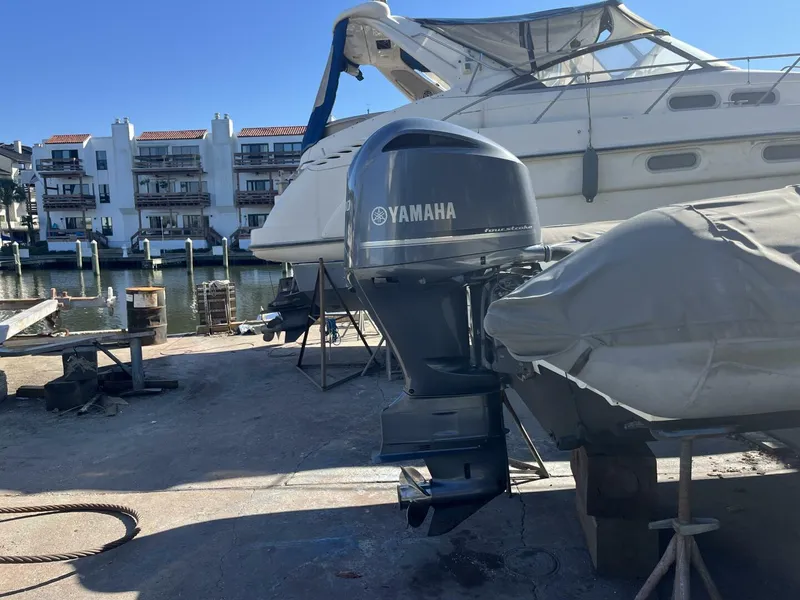 Slide: The Image of 2008 Zodiac Pro 20 Man - 5779980