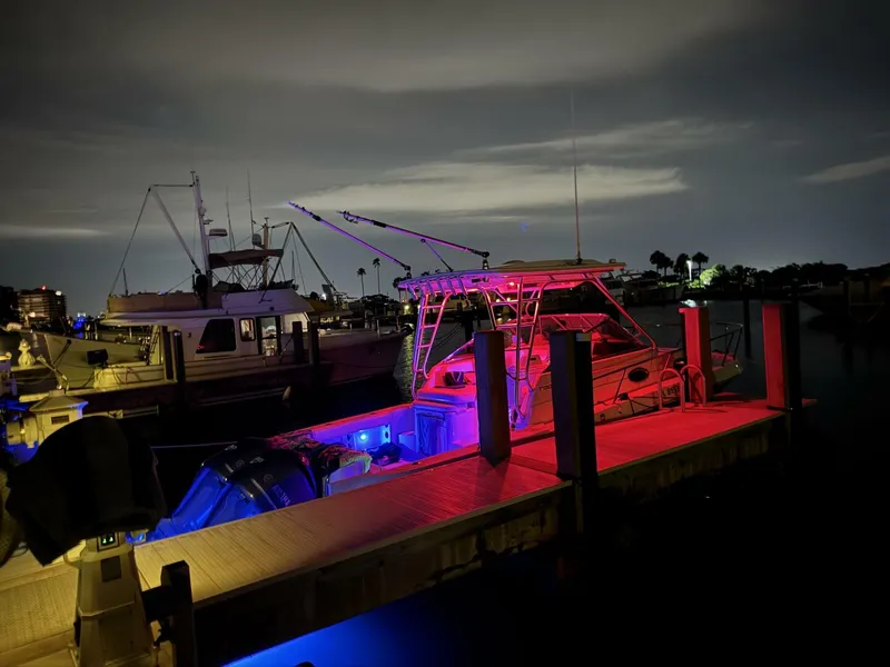 Slide: The Image of Robalo R305 Walkaround 2013 - 5789199