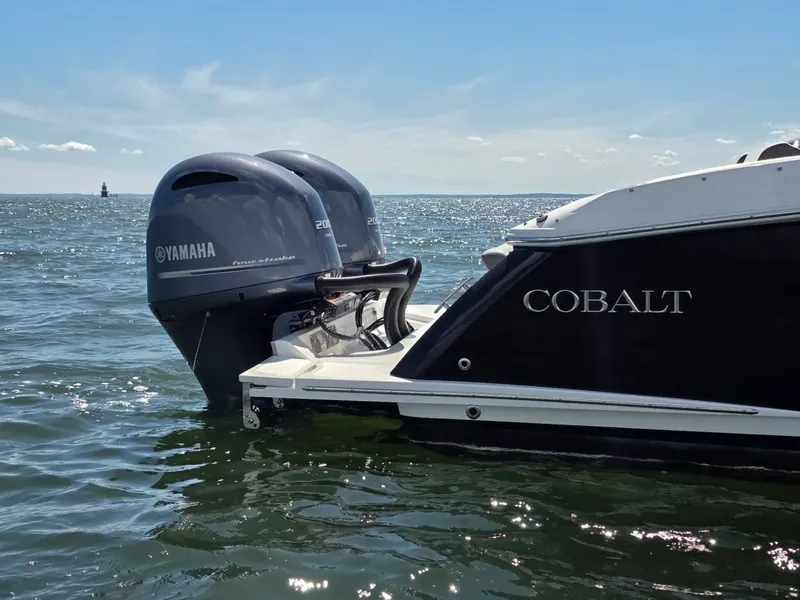 Slide: The Image of Cobalt 28 2024 - 6455886