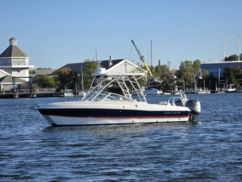 Slide: The Image of World Cat 23 2024 - 5781653